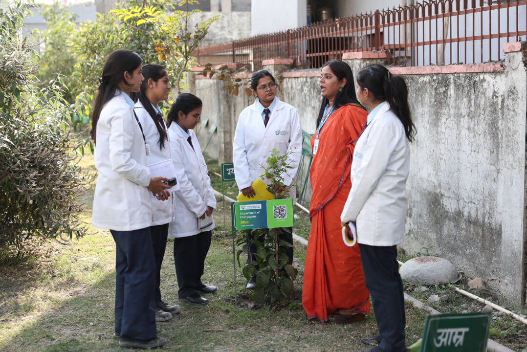 Faculty pointing at a plant with a QR-code label in the UMCAR Herbal Garden